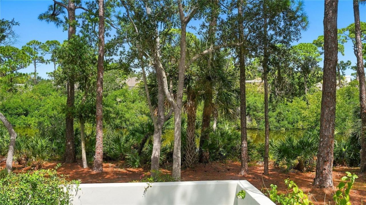 324 Osprey Point Drive, Osprey, FL 34229 Photo