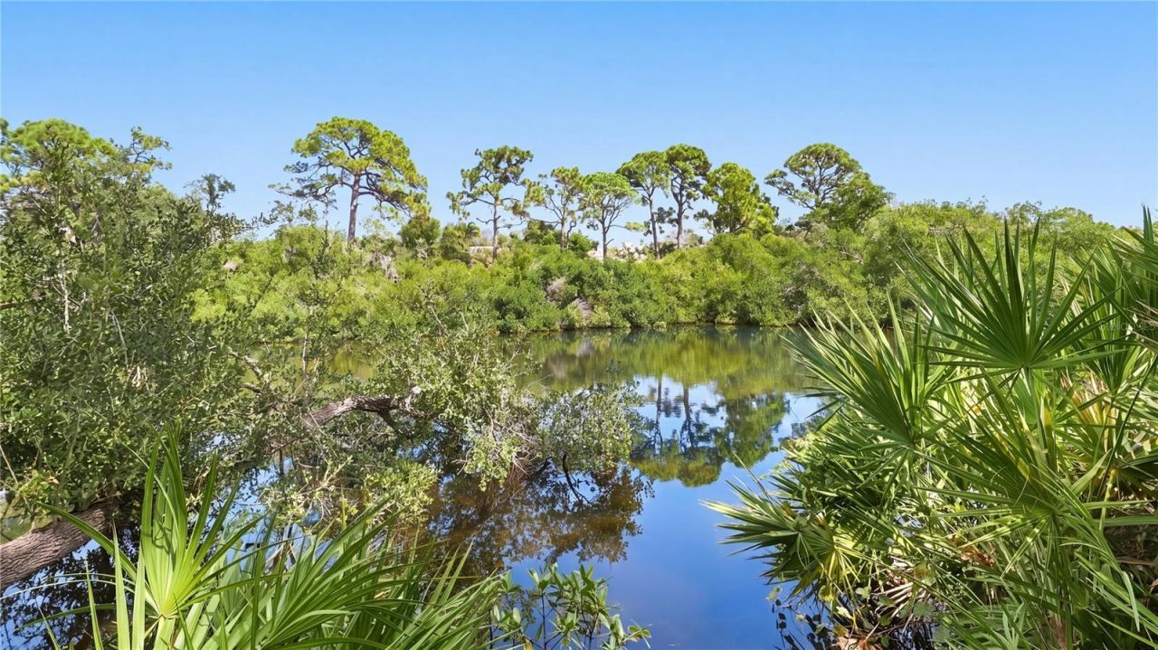 324 Osprey Point Drive, Osprey, FL 34229 Photo