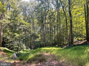 9203 POTOMAC RIDGE ROAD , GREAT FALLS, VA 22066