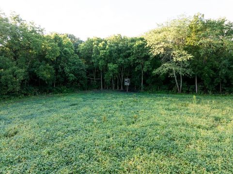 Main Photo