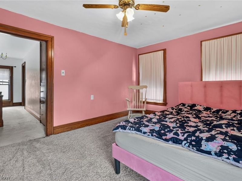 729 Main Street, Conneaut, OH 44030 Photo 29