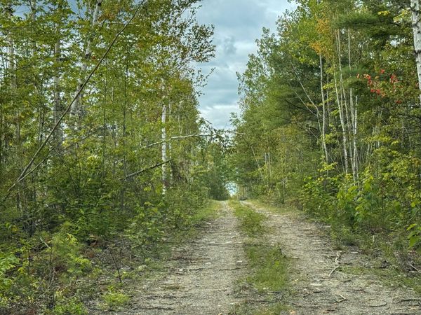Lots 17+18 Junior Williams Road , Wesley, ME 04686