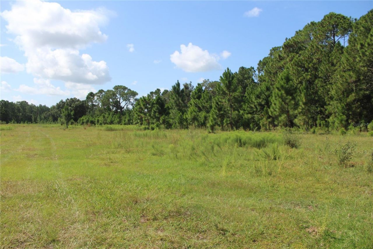 Us Highway 98 W, Frostproof, FL 33843 Photo