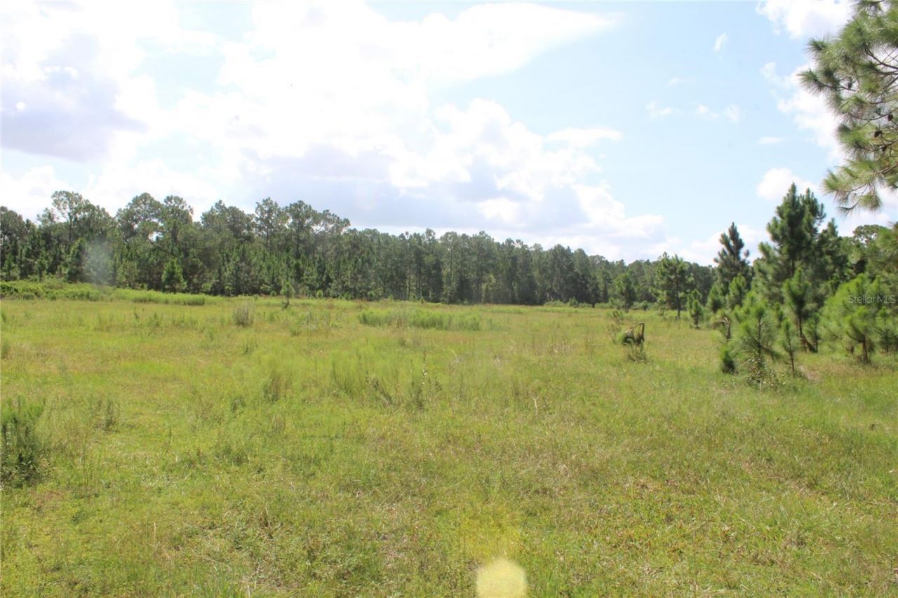 Us Highway 98 W, Frostproof, FL 33843 Photo