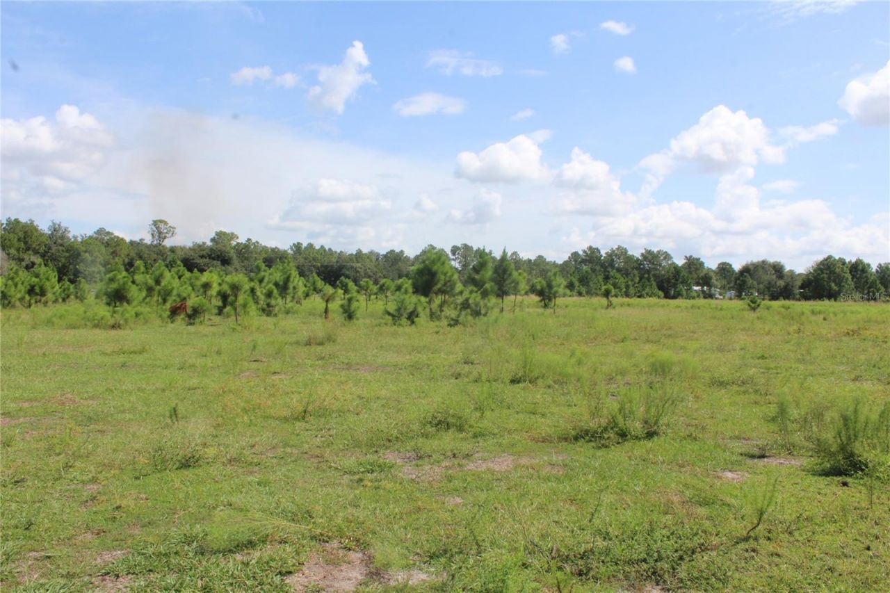 Us Highway 98 W, Frostproof, FL 33843 Photo