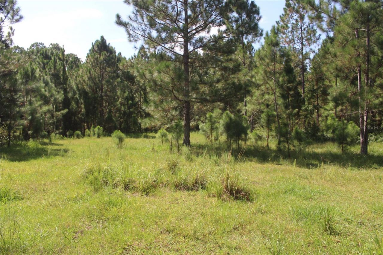 Us Highway 98 W, Frostproof, FL 33843 Photo