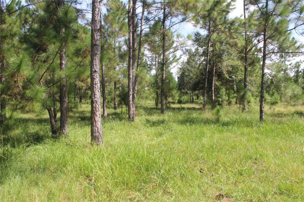 Us Highway 98 W, Frostproof, FL 33843 Photo