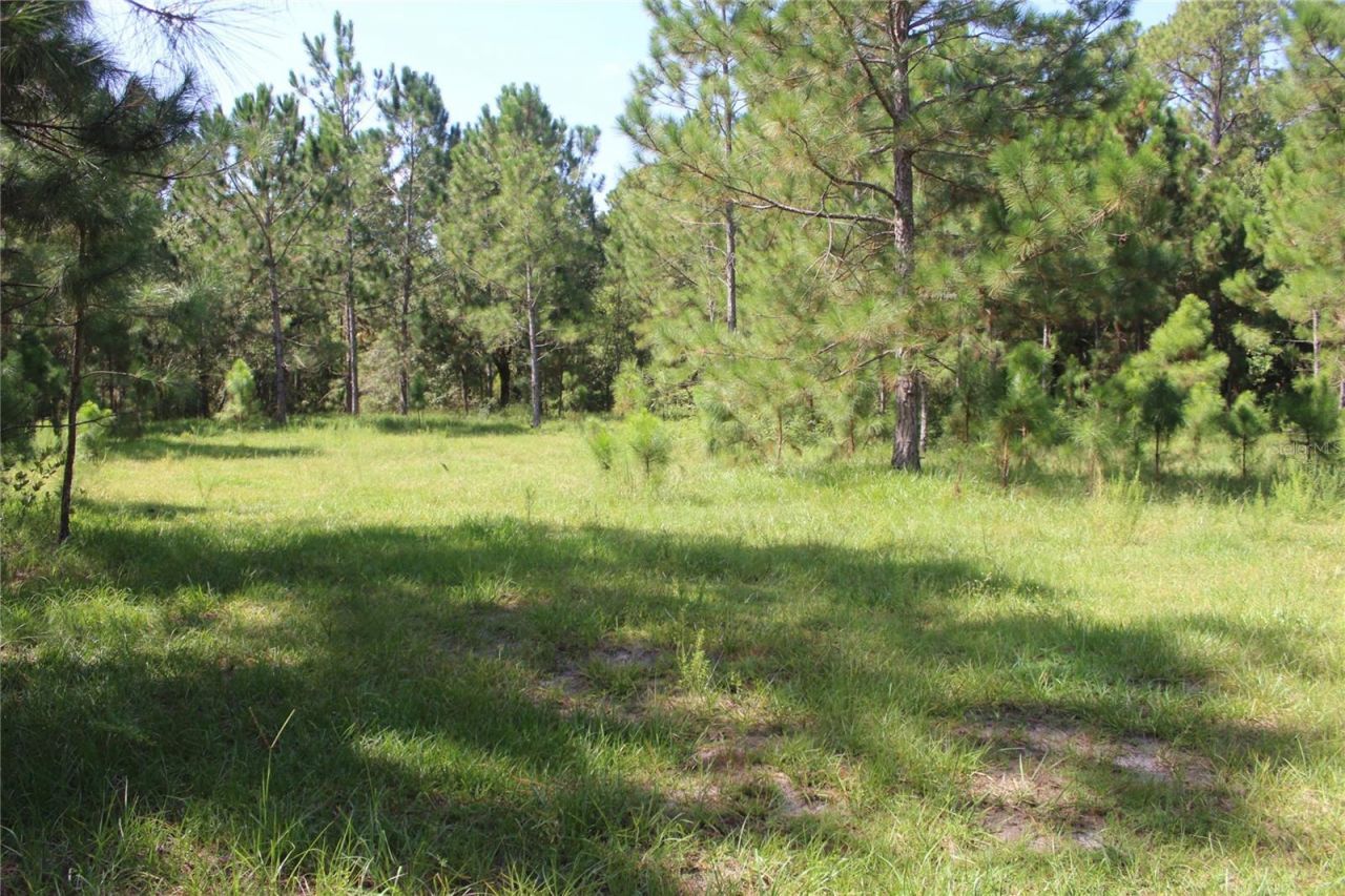 Us Highway 98 W, Frostproof, FL 33843 Photo