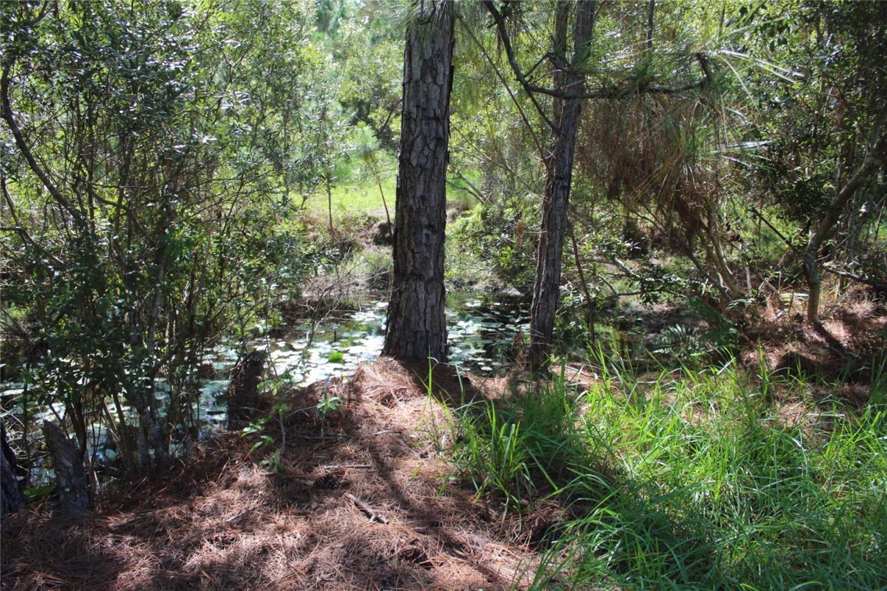 Us Highway 98 W, Frostproof, FL 33843 Photo