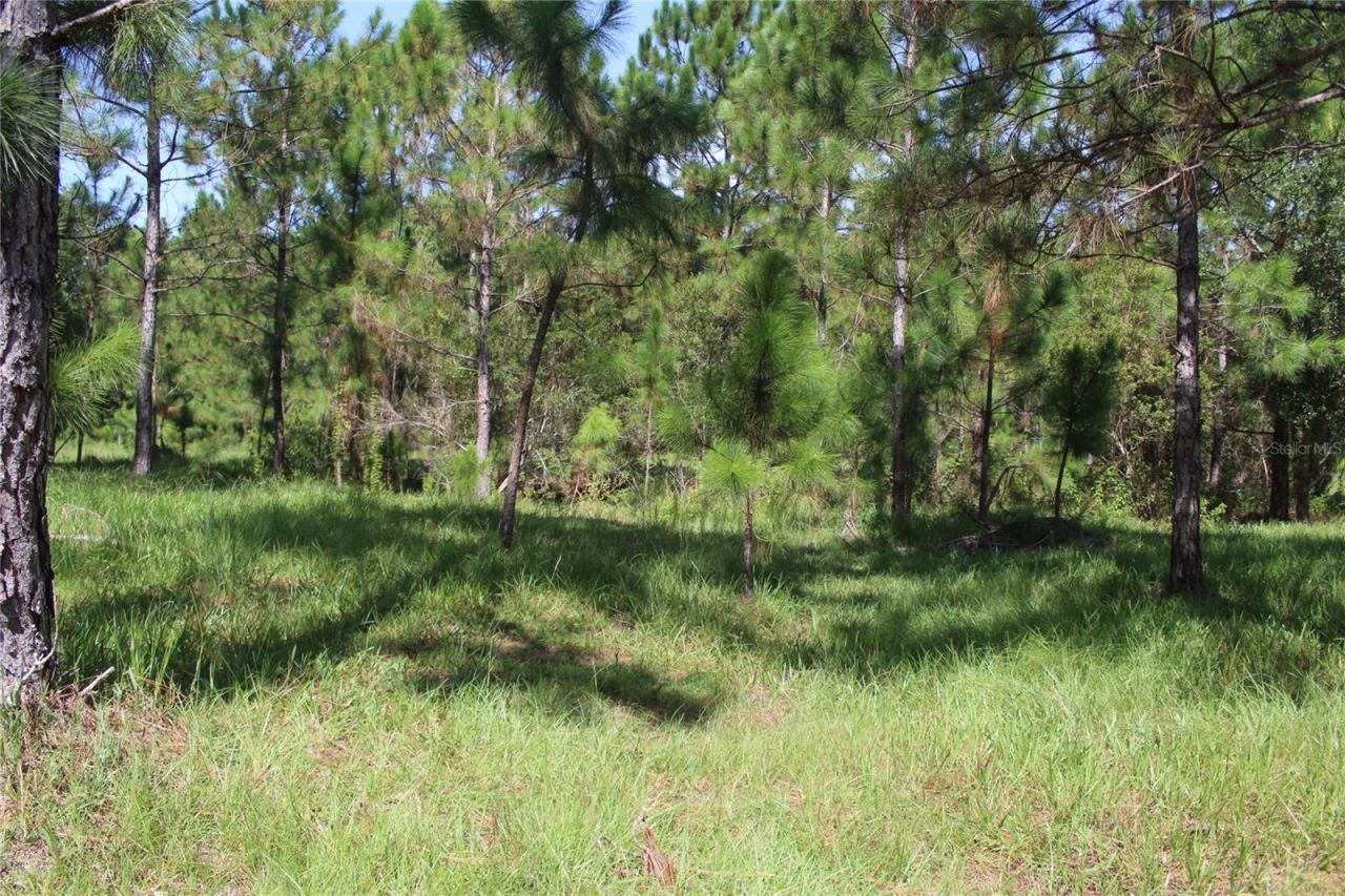 Us Highway 98 W, Frostproof, FL 33843 Photo