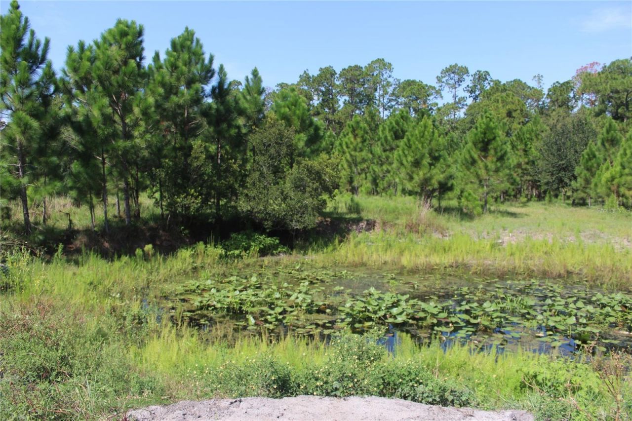 Us Highway 98 W, Frostproof, FL 33843 Photo
