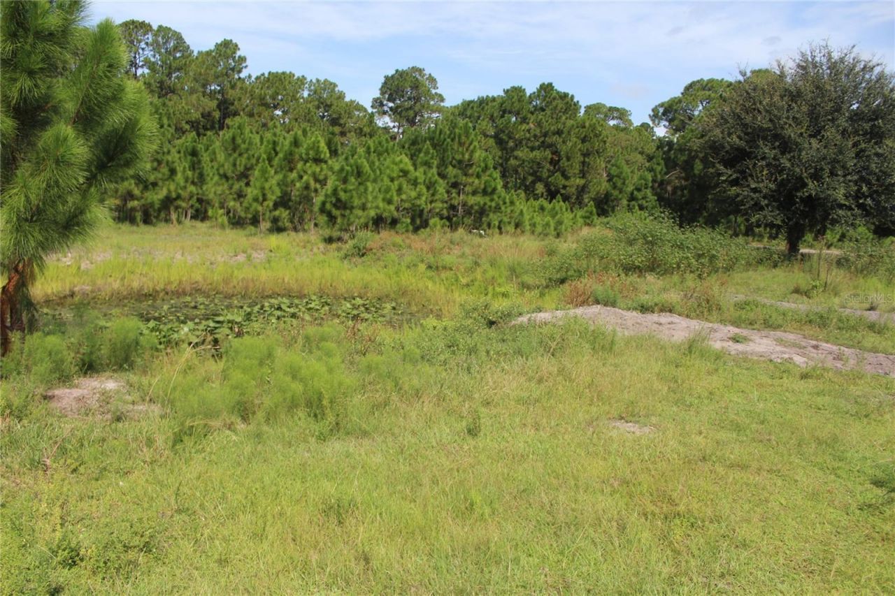 Us Highway 98 W, Frostproof, FL 33843 Photo