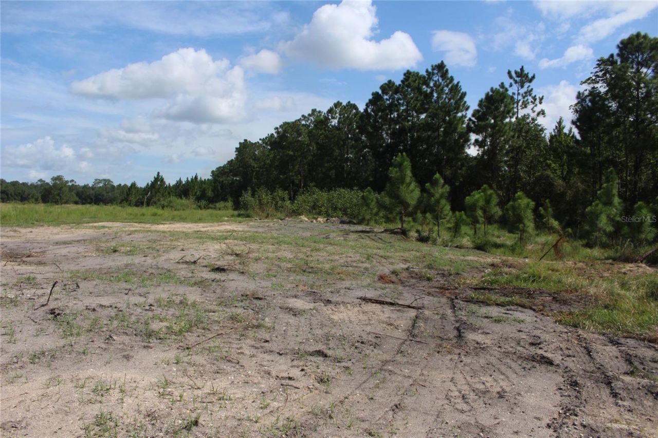 Us Highway 98 W, Frostproof, FL 33843 Photo