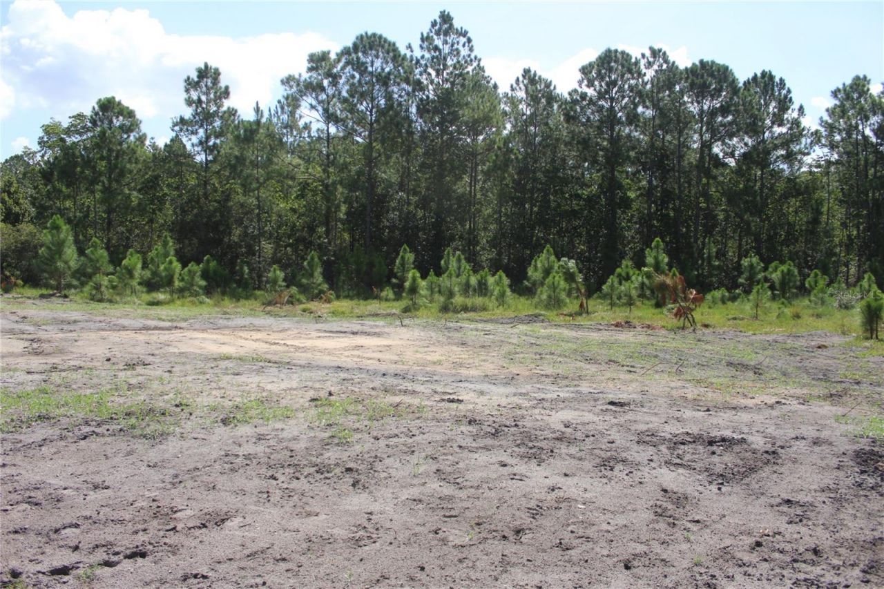 Us Highway 98 W, Frostproof, FL 33843 Photo