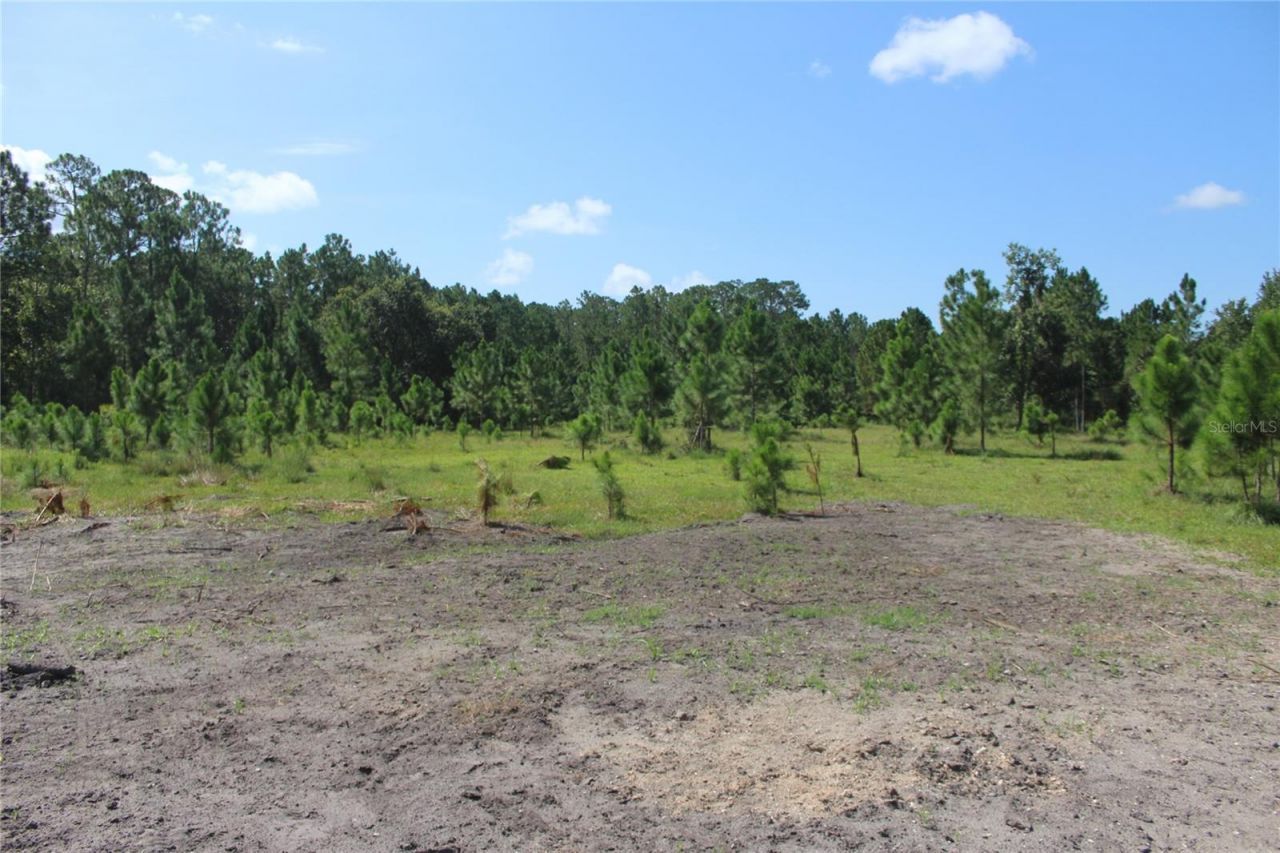 Us Highway 98 W, Frostproof, FL 33843 Photo