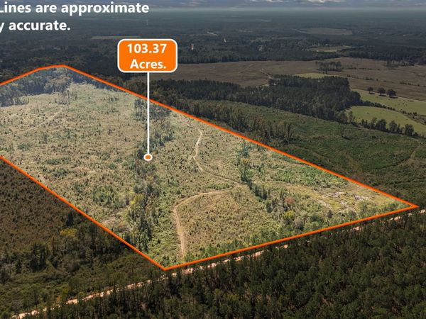 0 Peacock Crossing, Tennille, GA 31089