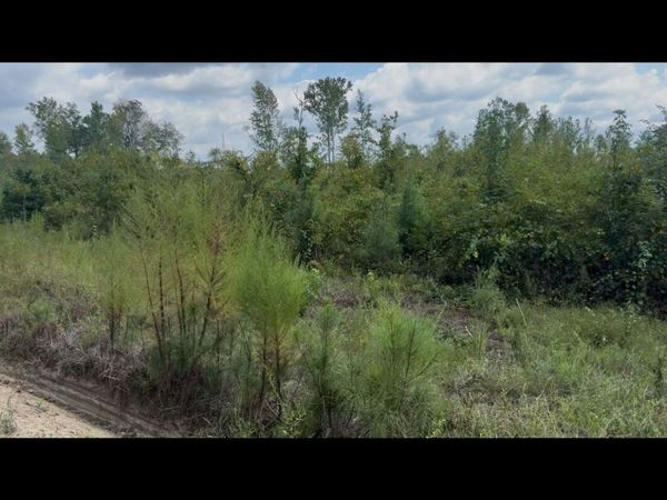 0 Peacock Crossing, Tennille, GA 31089