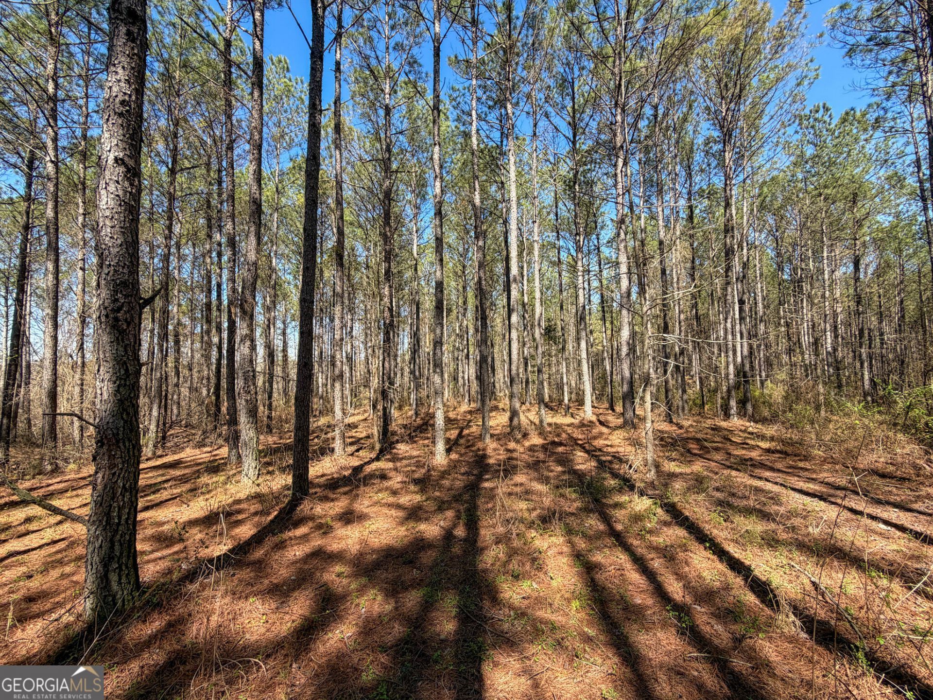 24 +/- Acres On Ga Hwy 34 - Tract 1, Franklin, GA 30217 Main Photo