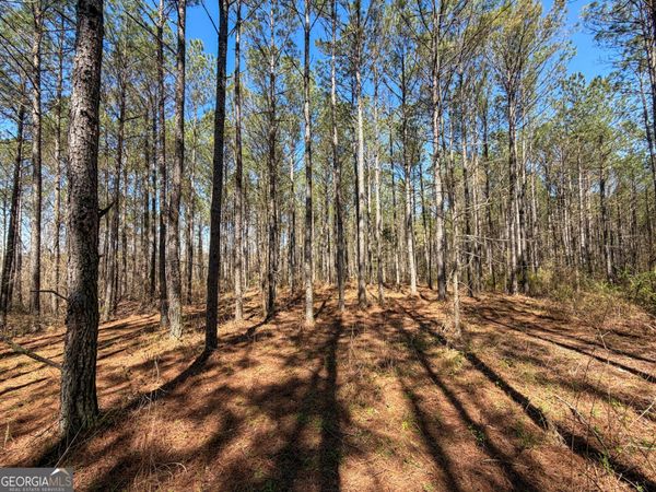 24 +/- Acres on GA Hwy 34 - Tract 1, Franklin, GA 30217