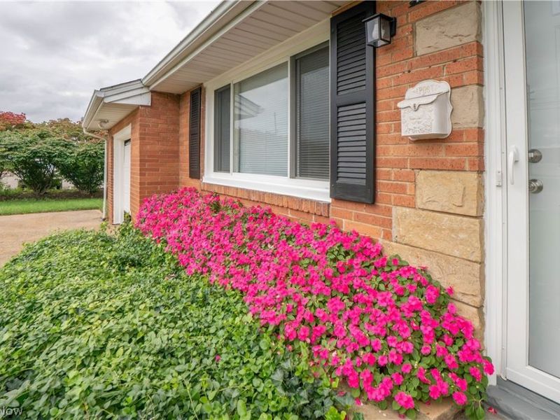 1615 Whipple Avenue NW, Canton, OH 44708 Photo 3
