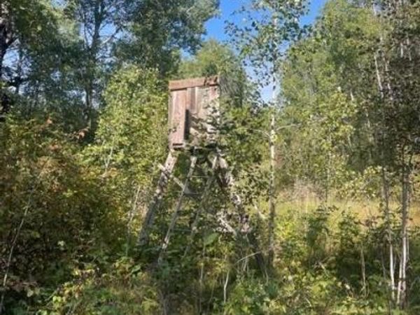 TBD 380th Street , Menahga, MN 56464