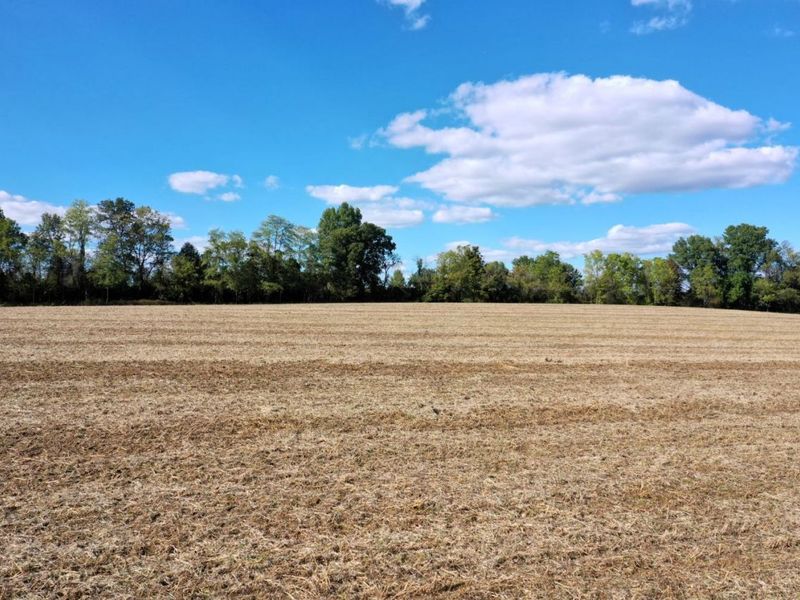 ac Strout Road, Washington Township, OH 45113 Photo 13