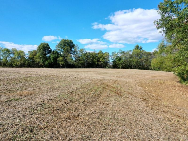 ac Strout Road, Washington Township, OH 45113 Photo 16