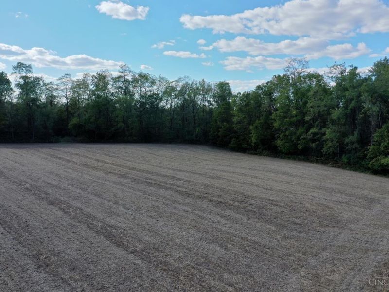 ac Strout Road, Washington Township, OH 45113 Photo 5