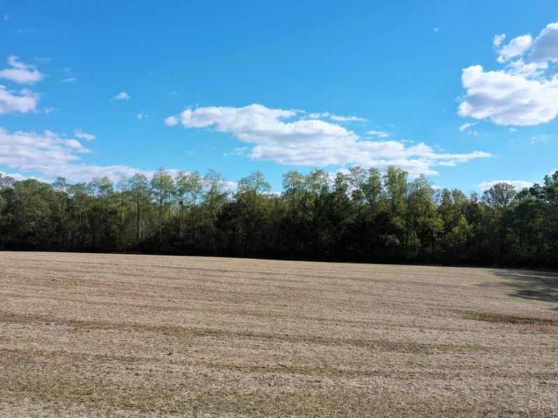 ac Strout Road, Washington Township, OH 45113 Photo 8