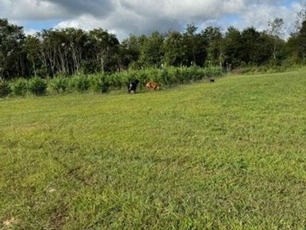 127 Rushing Springs Rd , Monterey, TN 38574