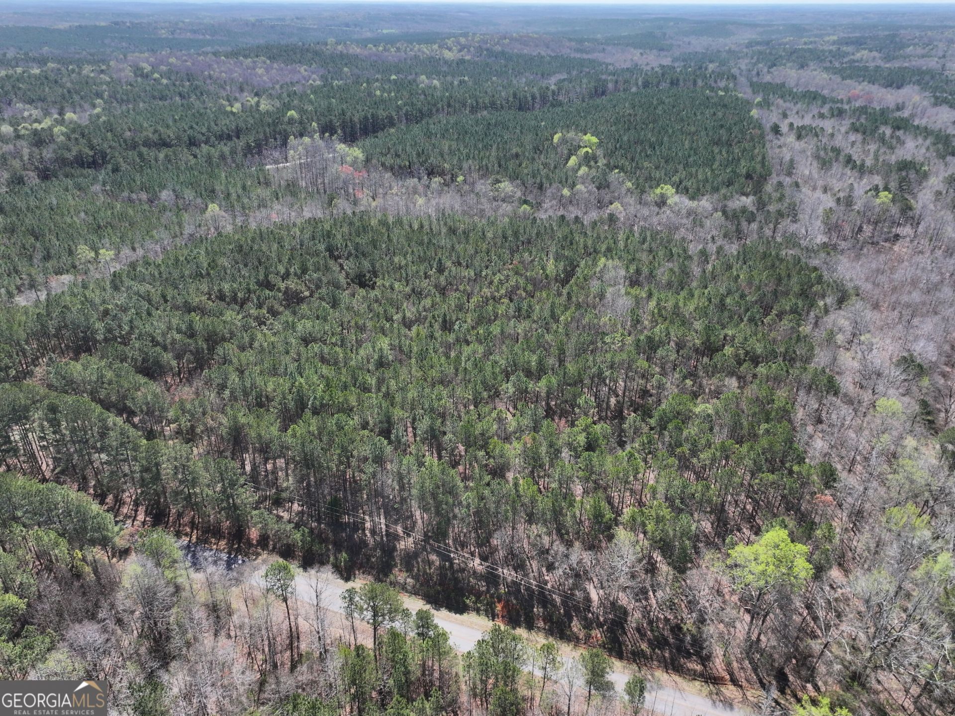 24 +/- Acres On Ga Hwy 34 - Tract 2, Franklin, GA 30217 Main Photo