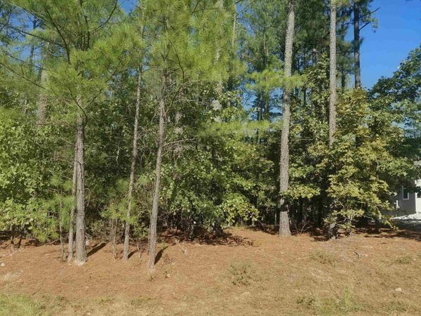 16 Vigoroso Lane , Hot Springs Village, AR 71909