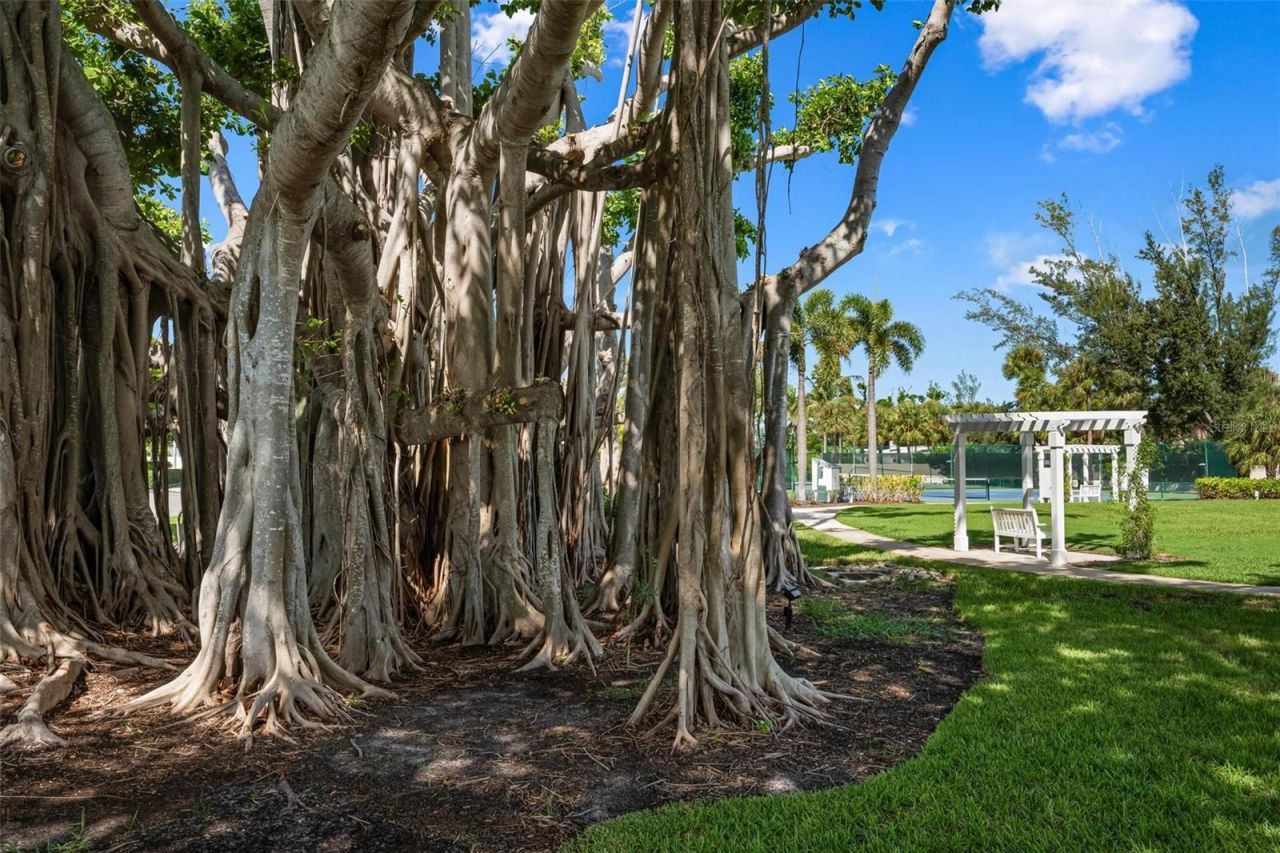 319 Pilot Point Lane , Boca Grande, FL 33921 Photo