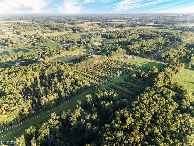 4597 Laubert Road, Atwater, OH 44201 Photo 32