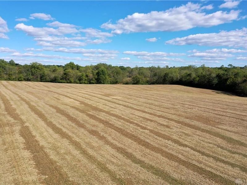 56 Ac Strout Road, Washington Township, OH 45113 Photo 1