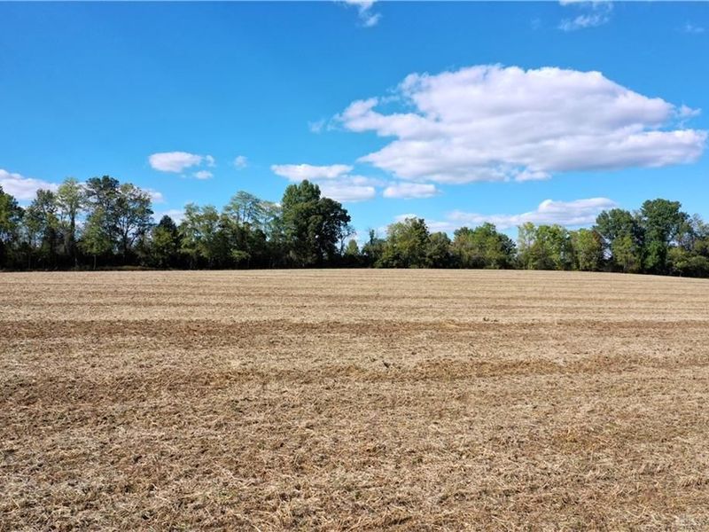 56 Ac Strout Road, Washington Township, OH 45113 Photo 13
