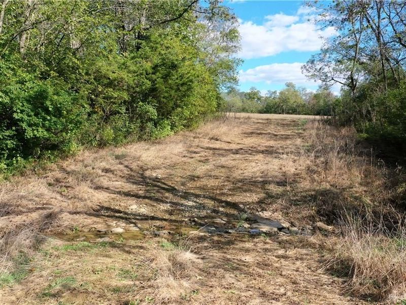 56 Ac Strout Road, Washington Township, OH 45113 Photo 17