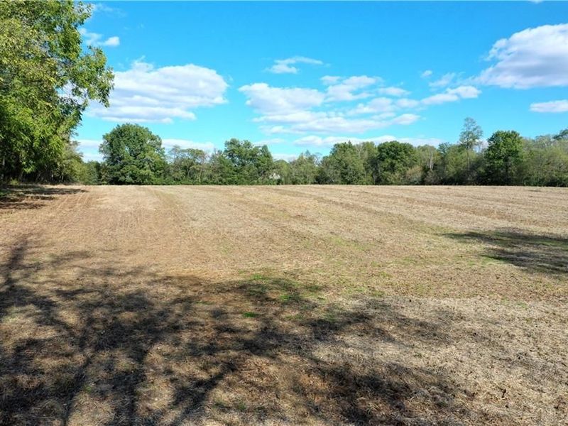 56 Ac Strout Road, Washington Township, OH 45113 Photo 18