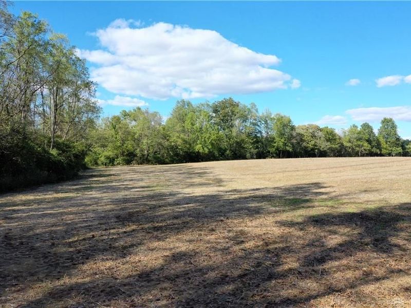 56 Ac Strout Road, Washington Township, OH 45113 Photo 19