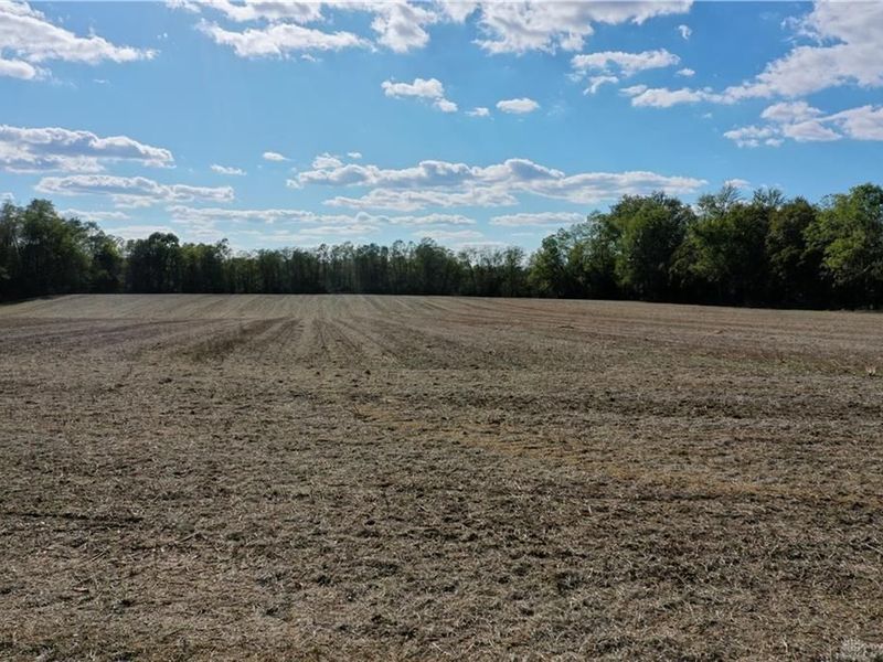 56 Ac Strout Road, Washington Township, OH 45113 Photo 21
