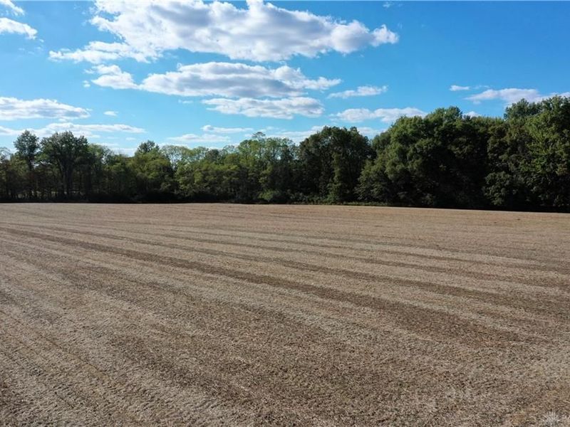 56 Ac Strout Road, Washington Township, OH 45113 Photo 23