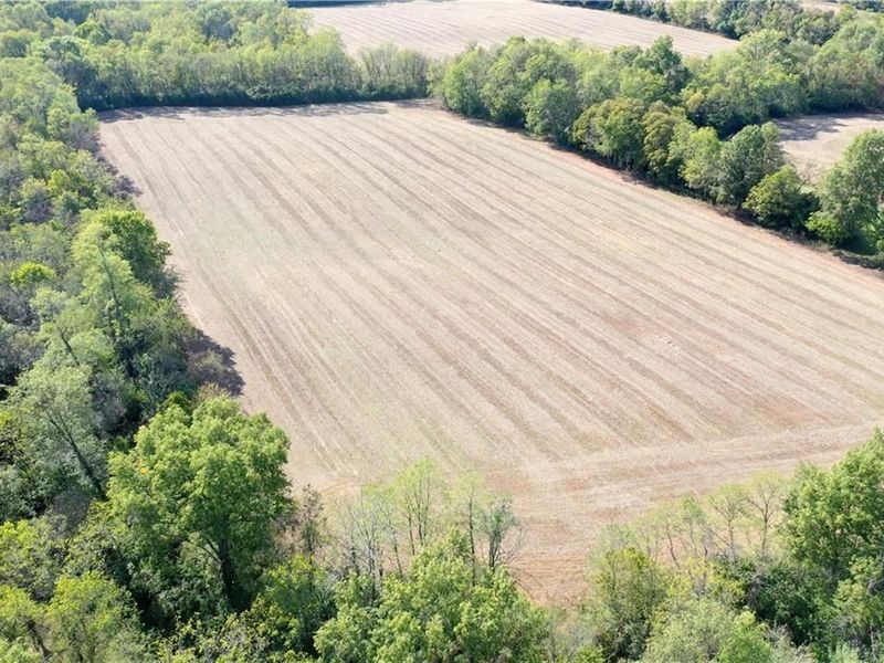 56 Ac Strout Road, Washington Township, OH 45113 Photo 7