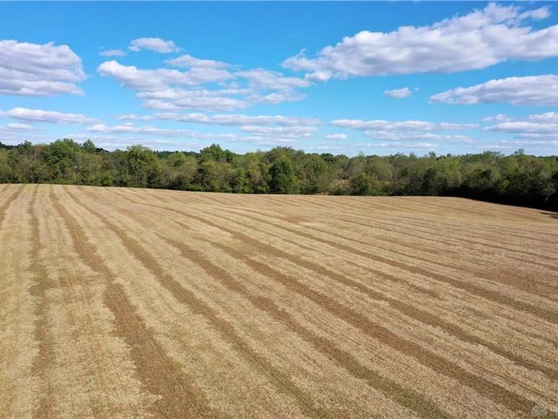 56 Ac Strout Road, Washington Township, OH 45113 Photo 8