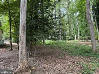 Lot 162c Indian Hills Road, Locust Grove, VA 22508 Main Photo