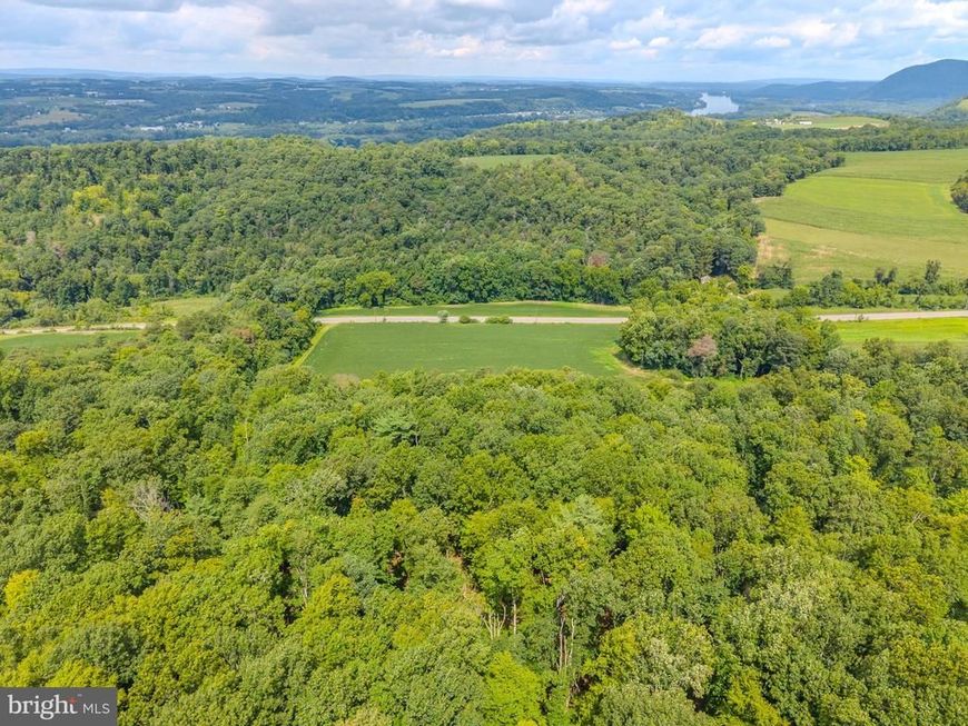 00 State Route 147, Lot #PARCEL 3, Herndon, PA 17830 Main Photo