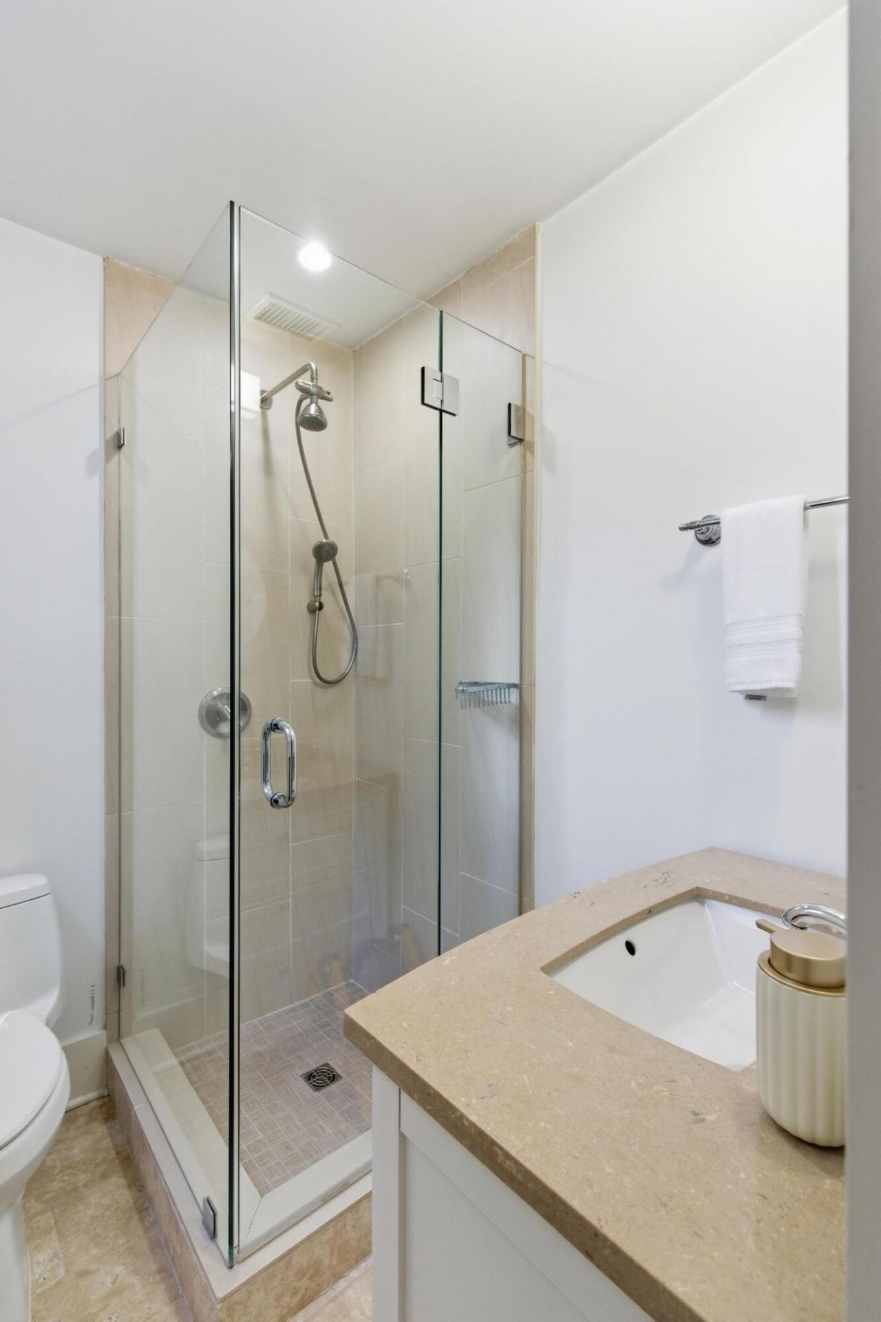 207 Pitt Street Photo 46