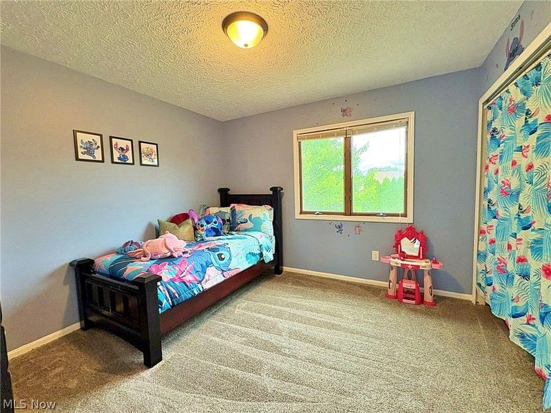 5920 Province Court, Lorain, OH 44053 Photo 26