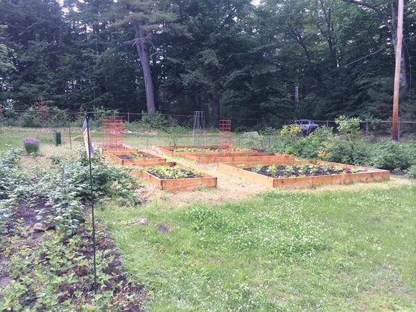 38 Tips Cove Road, Wolfeboro, NH 03894