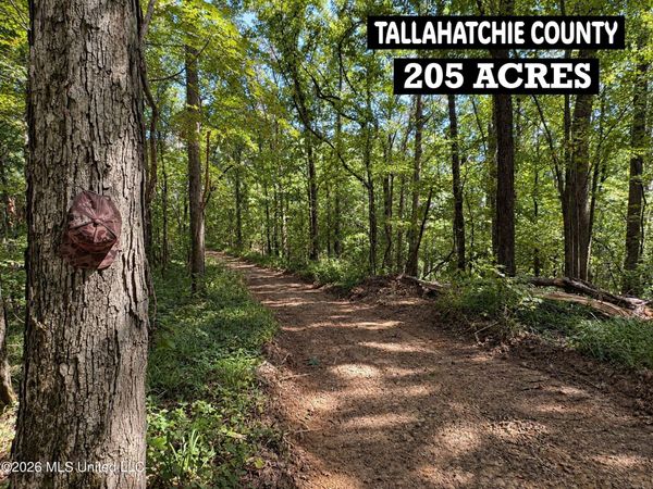 173 Cascilla Road, Cascilla, MS 38920