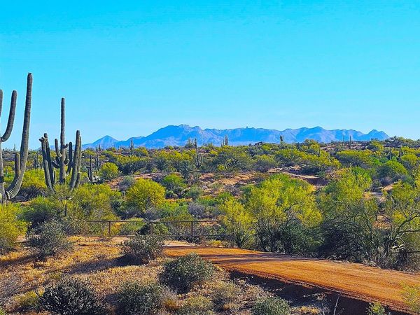 142X2 E MONTELLO Road, Unit 1, Scottsdale, AZ 85262